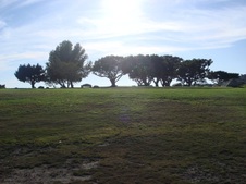 Enlarge photo 19