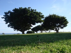 Enlarge photo 25