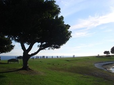 Enlarge photo 27