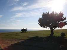 Enlarge photo 36