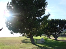 Enlarge photo 37