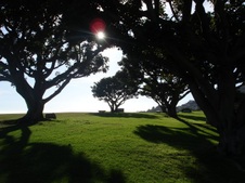 Enlarge photo 42