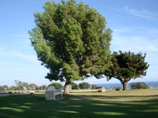 Enlarge photo 43