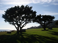 Enlarge photo 47