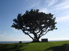 Enlarge photo 48
