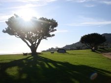 Enlarge photo 49