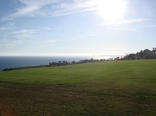 Enlarge photo 53