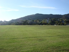 Enlarge photo 54