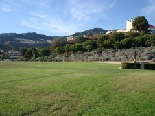 Enlarge photo 55