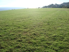 Enlarge photo 56