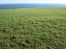 Enlarge photo 57