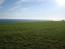 Enlarge photo 58