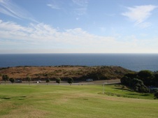 Enlarge photo 60