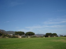 Enlarge photo 62