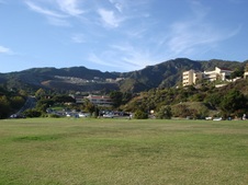 Enlarge photo 63
