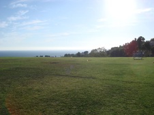 Enlarge photo 68