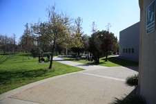 Enlarge photo 13