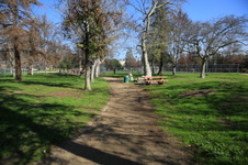 Enlarge photo 39