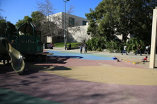 Enlarge photo 46