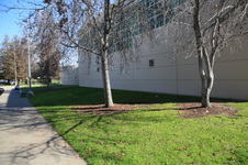 Enlarge photo 3
