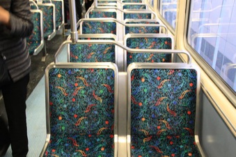 Enlarge photo 32