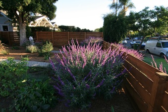Enlarge photo 36