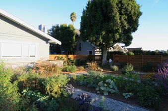 Enlarge photo 38