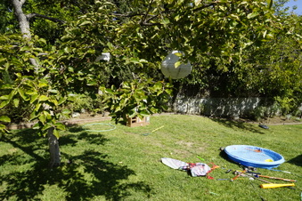 Enlarge photo 2