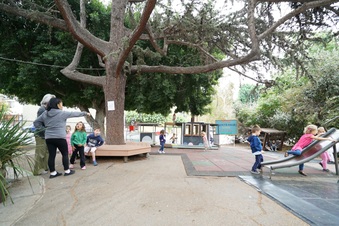 Enlarge photo 55