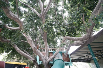 Enlarge photo 30