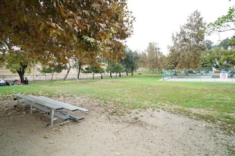 Enlarge photo 22