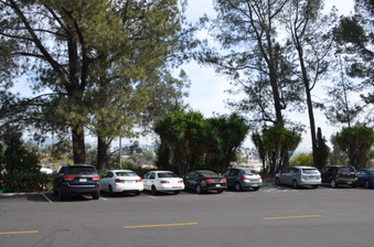 Enlarge photo 15