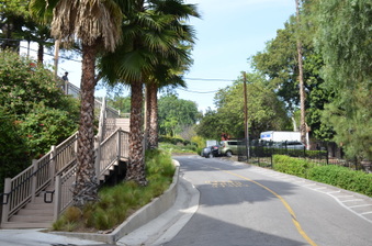 Enlarge photo 31