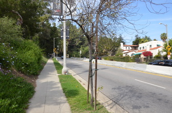 Enlarge photo 36