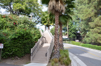Enlarge photo 42