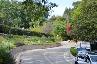 Enlarge photo 43