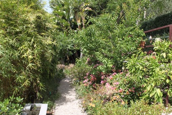 Enlarge photo 49