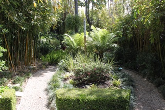 Enlarge photo 52