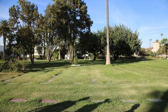 Enlarge photo 15