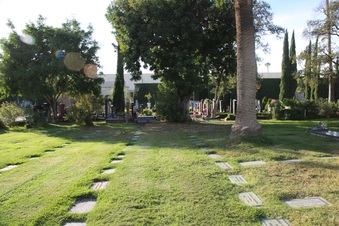 Enlarge photo 19