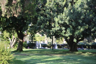 Enlarge photo 21