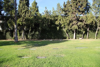Enlarge photo 24