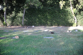 Enlarge photo 25