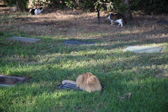 Enlarge photo 28