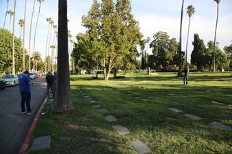 Enlarge photo 33