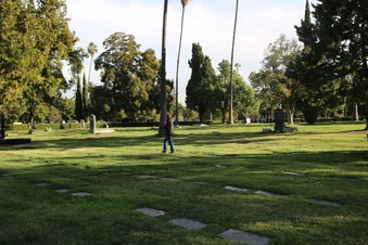 Enlarge photo 34