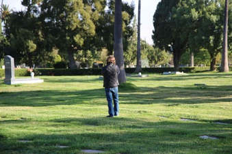 Enlarge photo 35