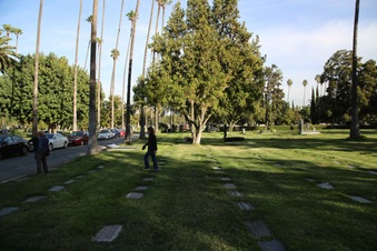Enlarge photo 36