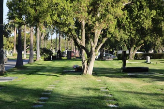 Enlarge photo 37