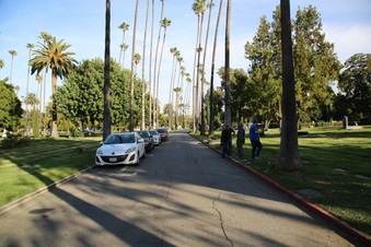 Enlarge photo 38